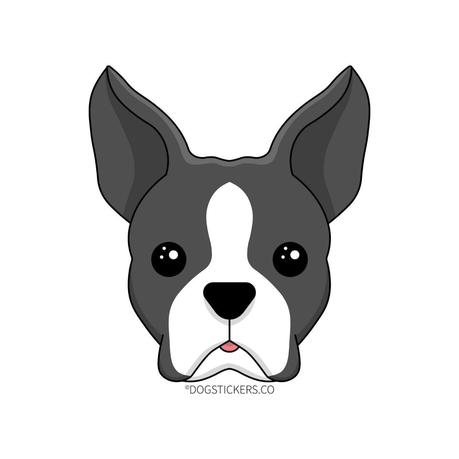 boston terrier drawing