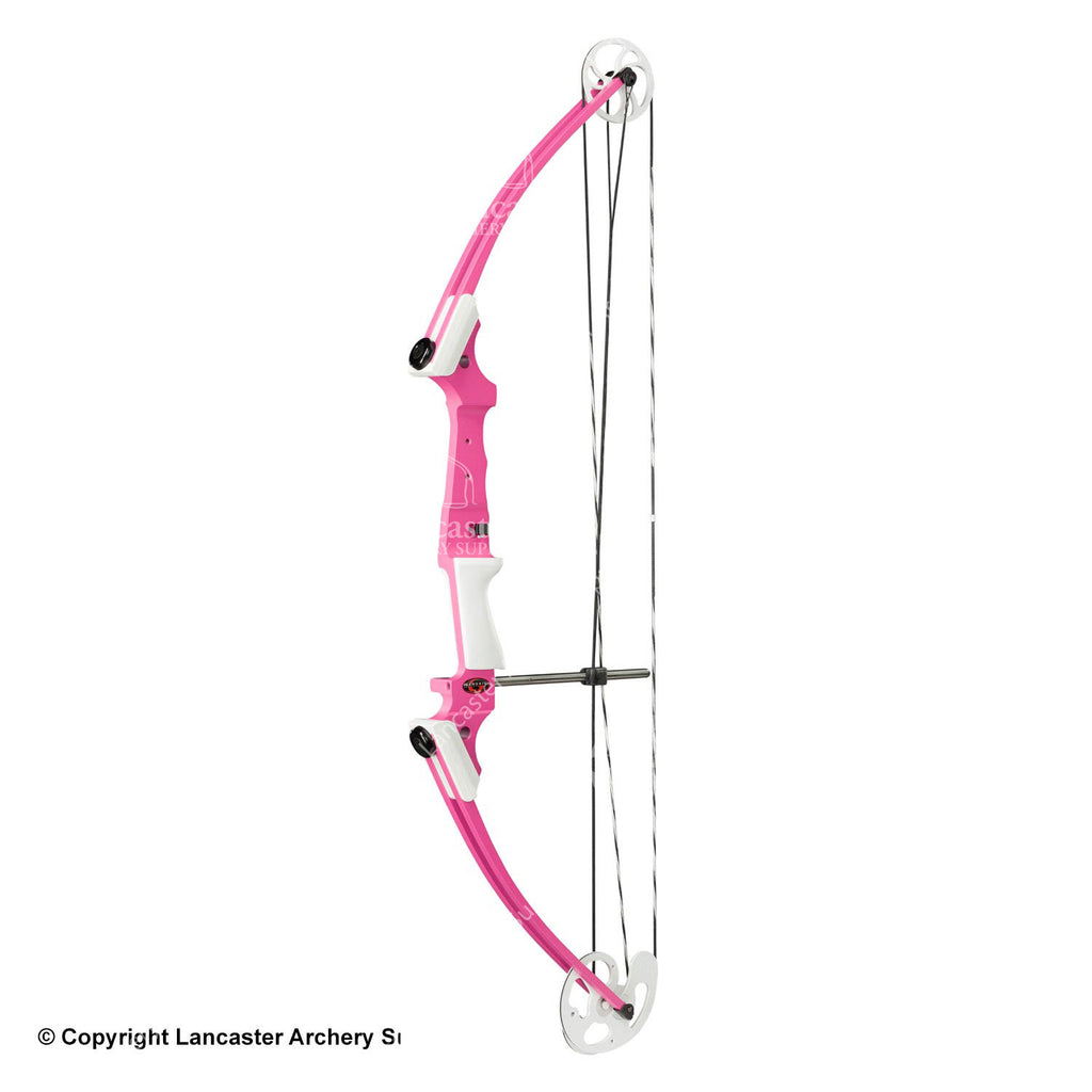 Cover Image for The Perfect Bow for Ladies: A Pink Genesis Archery Original Genesis Bow Review