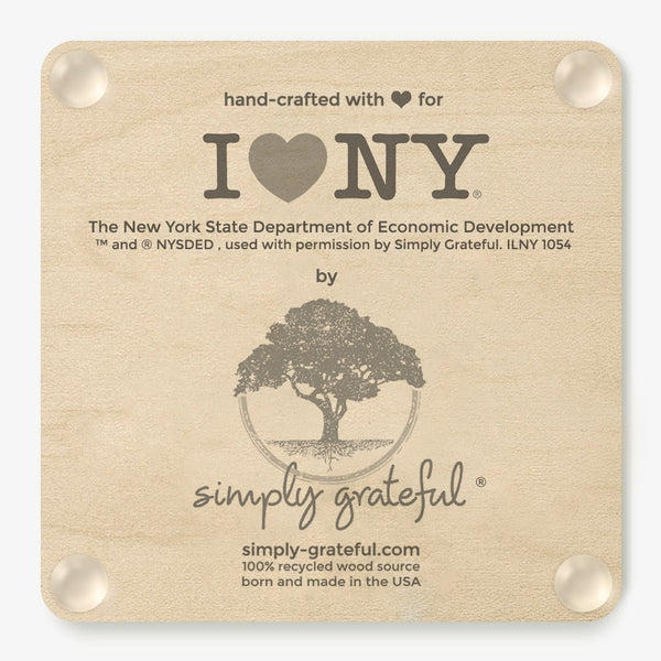 Retro ~ NY Coaster