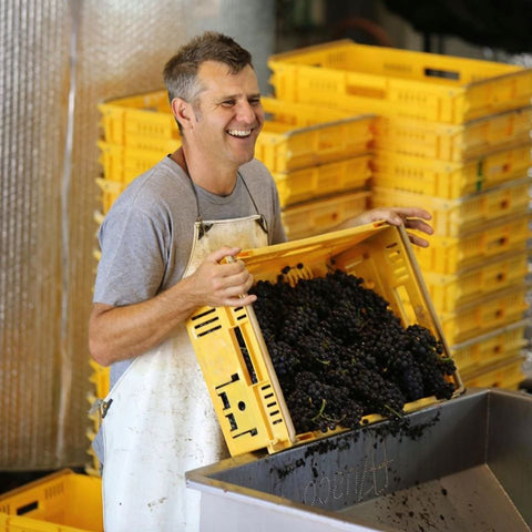 Todd Stevens, Winemaker at Neudorf Vineyards, Nelson, New Zealand