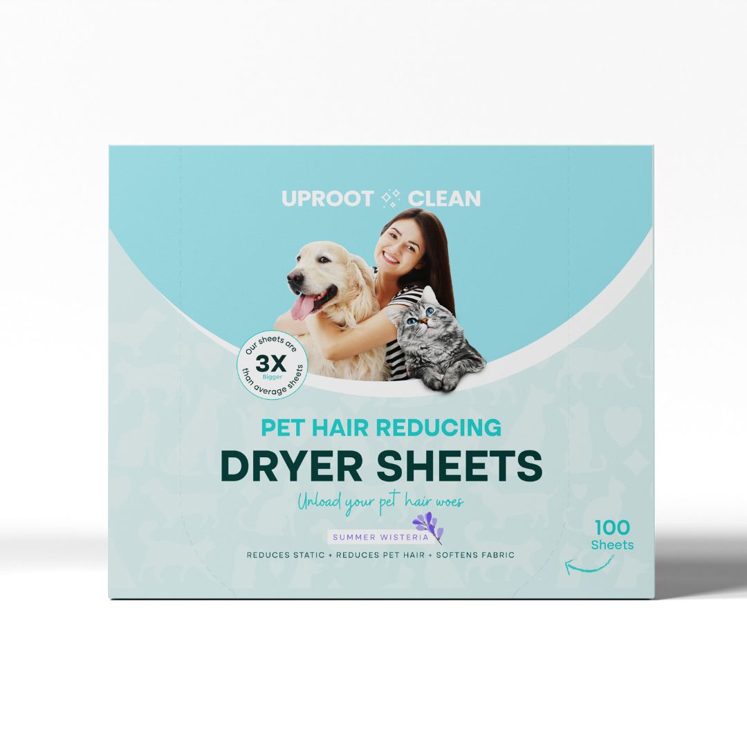 why do dogs like dryer sheets