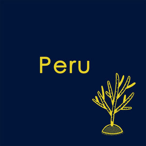 Peru German Carranza, Omni, Natural