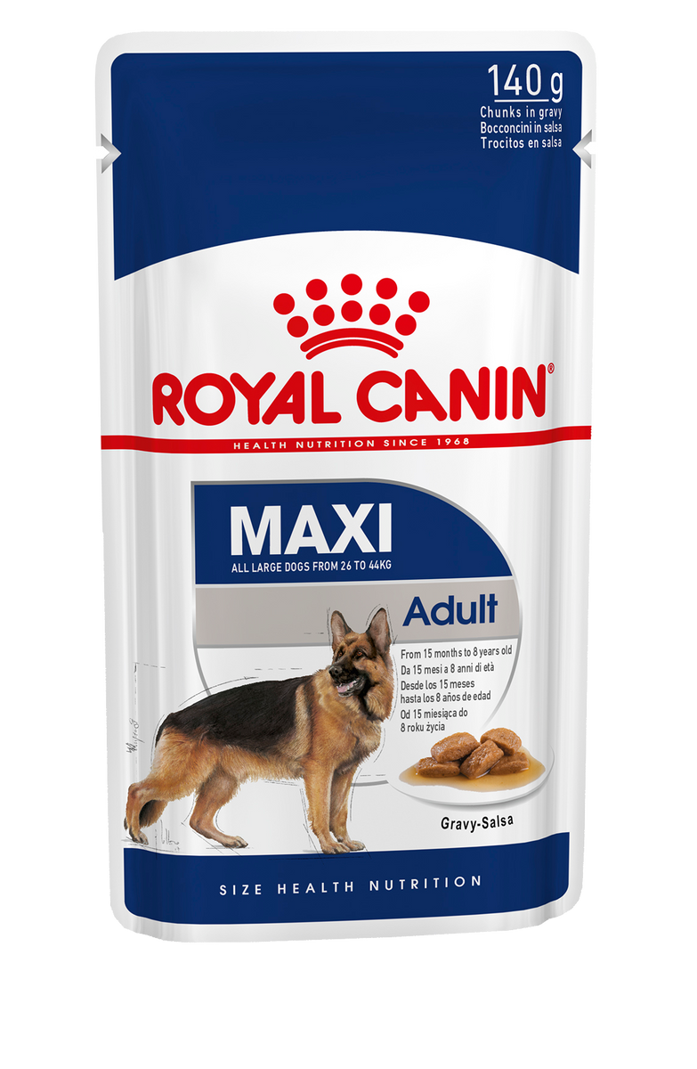 royal canin dog food big bag