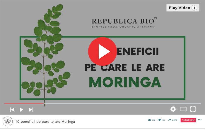 10 beneficii pe care le are Moringa - Video Republica BIO