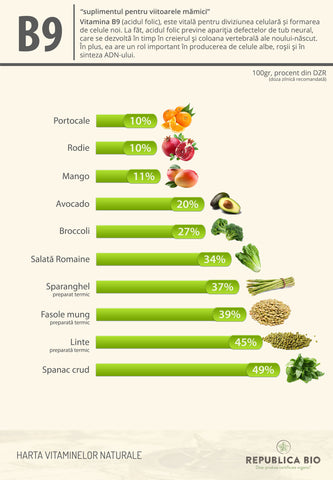 Borna 7 pe hartă: vitamina B9, suplimentul pentru viitoarele mămici - Republica BIO