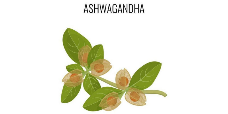 Cum arata ashwagandha