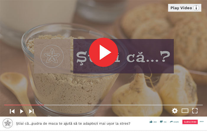 pudra de maca te ajută să te adaptezi mai ușor la stres - Video Republica BIO