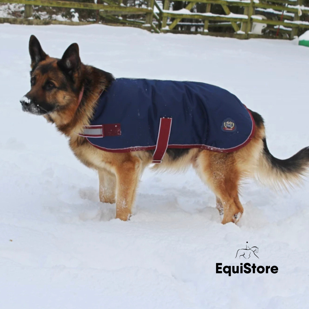 buster waterproof dog coats