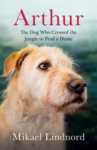 Arthur: The Dog who Crossed a Jungle to find a Home by Mikael Lindnord