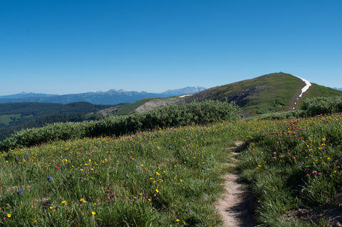 Hiking Indian Trail Ridge Colorado Trail Durango Colorado