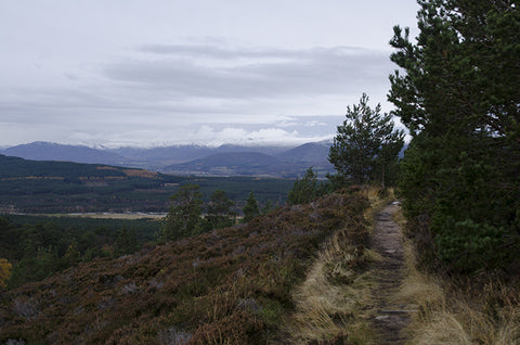 Hiking in the Cairngorms National Park Scotland