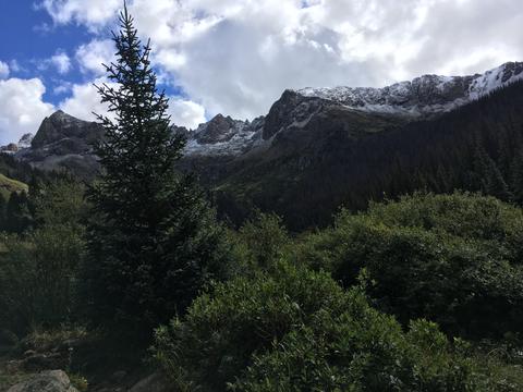 Vallecito to Chicago Basin Durango Backpacking Trips