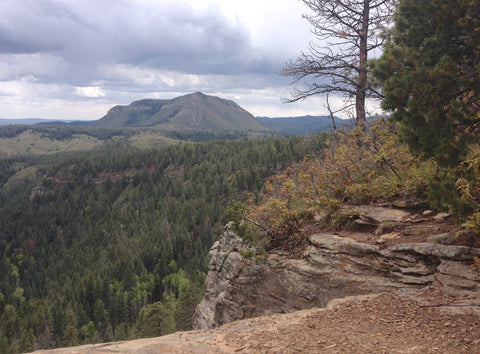 Junction Creek Colorado Trail Durango Colorado Gudy's Rest Hiking Trails Running Trails