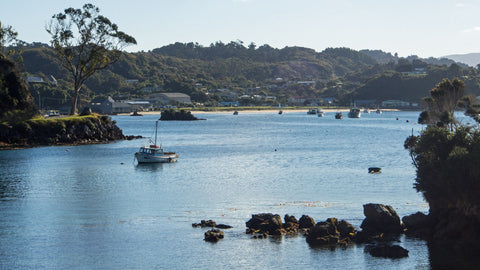 Stewart Island New Zealand