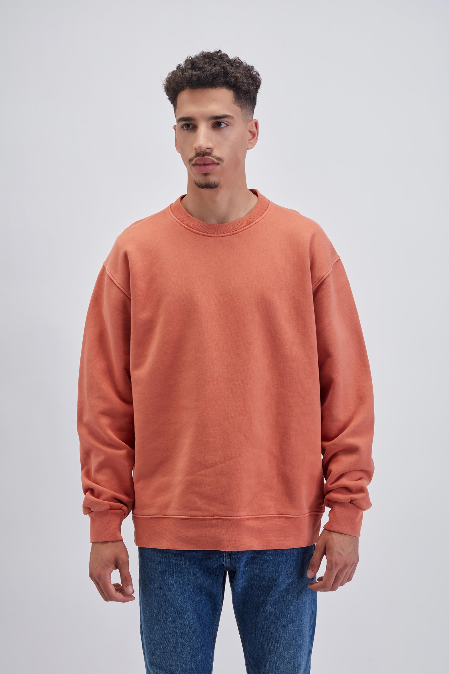 450/107 - Premium Men's Brushed Sweatshirt – Calvi wholesale