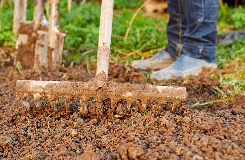 cultivate, till soil, soil, amendments