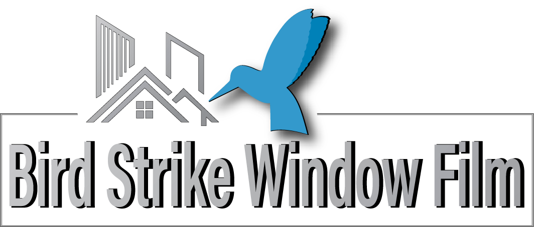 birdstrikewindowfilm.com