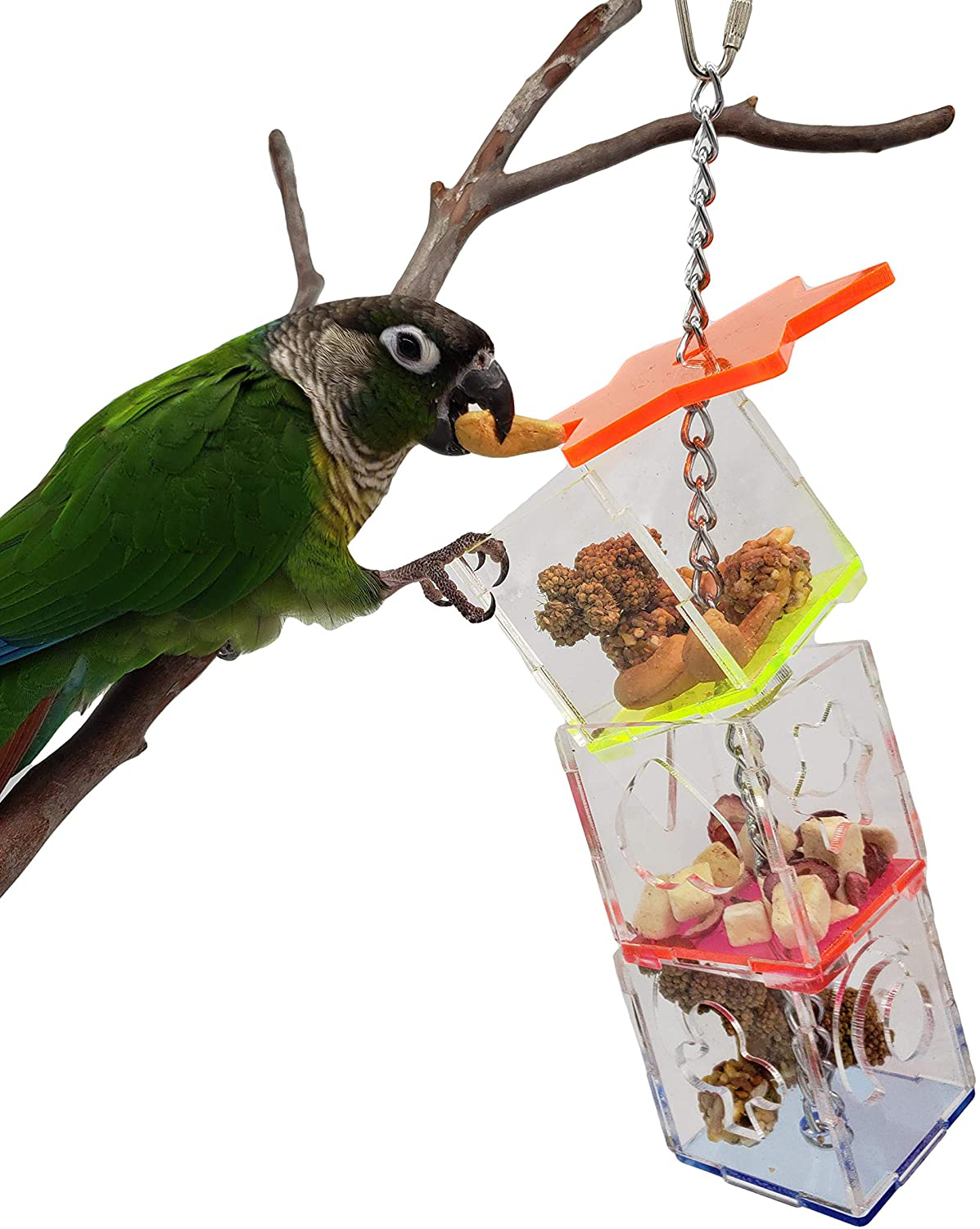 parrot food foraging toys