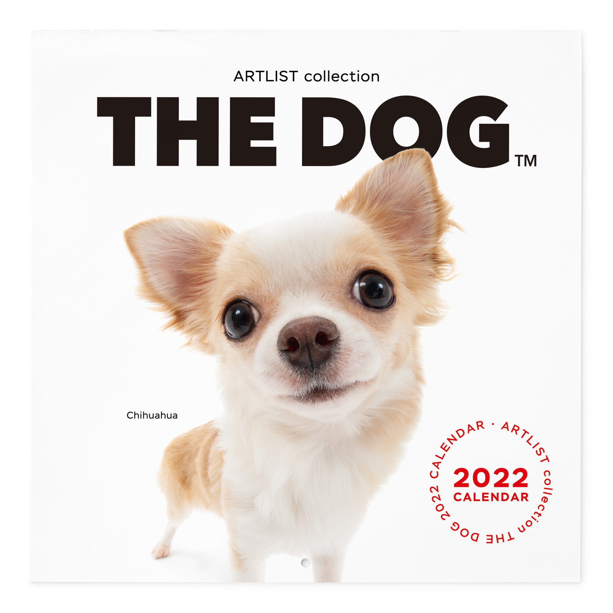 THE DOG 2022年 カレンダー 大判サイズ（チワワ） | THE DOG STORE