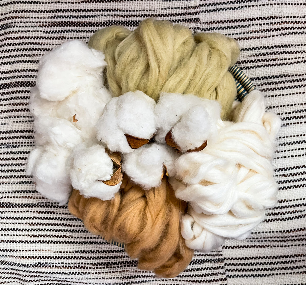 格安SALEスタート！ willinckii spore cloud cotton 植物/観葉植物