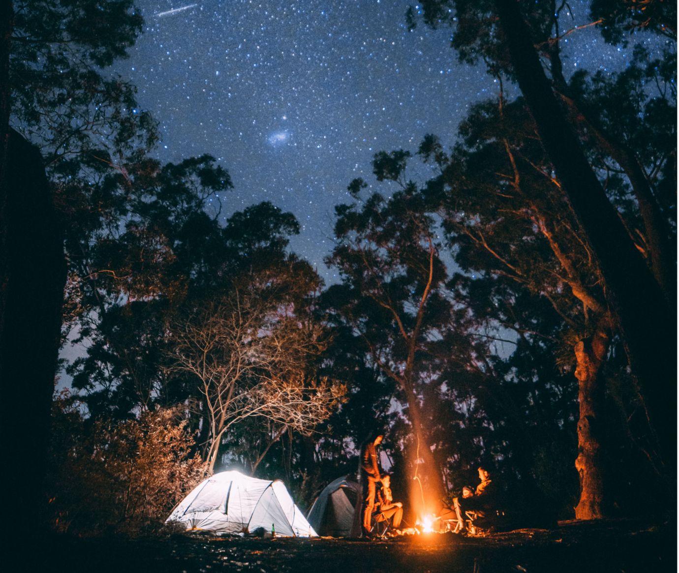Camping Essentials Checklist - REI Co-op