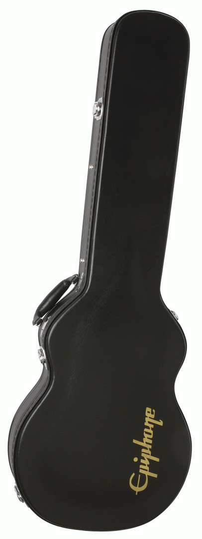 epiphone acoustic guitar case