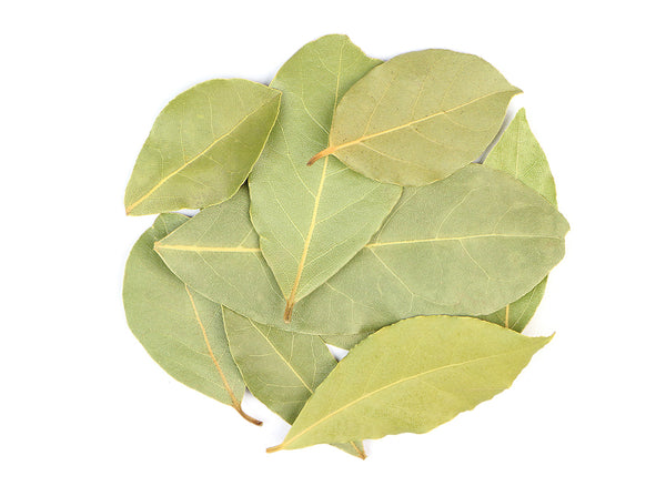 Bay Leaf, West Indian (Bay Rum Leaf), Dried