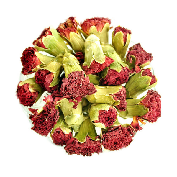 Carnation Flowers (Dianthus Caryophyllus)