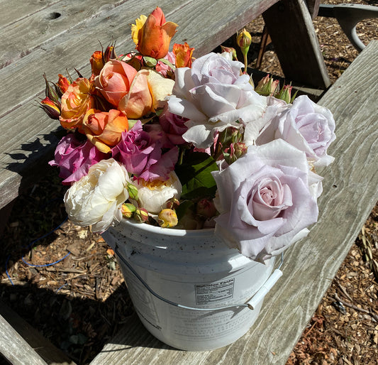 Flowers, Fruits & Cute Animals