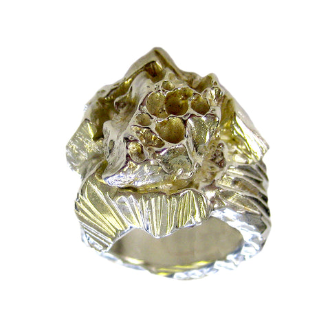 Imogen Belfield Volcanic Ash Ring