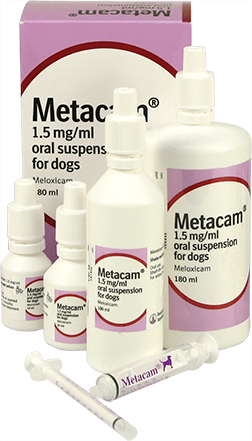 what is metacam used to treat in dogs