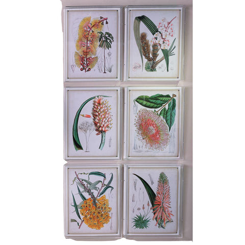 Port 68 Tropicals IV Wall Art - Lighting Accent