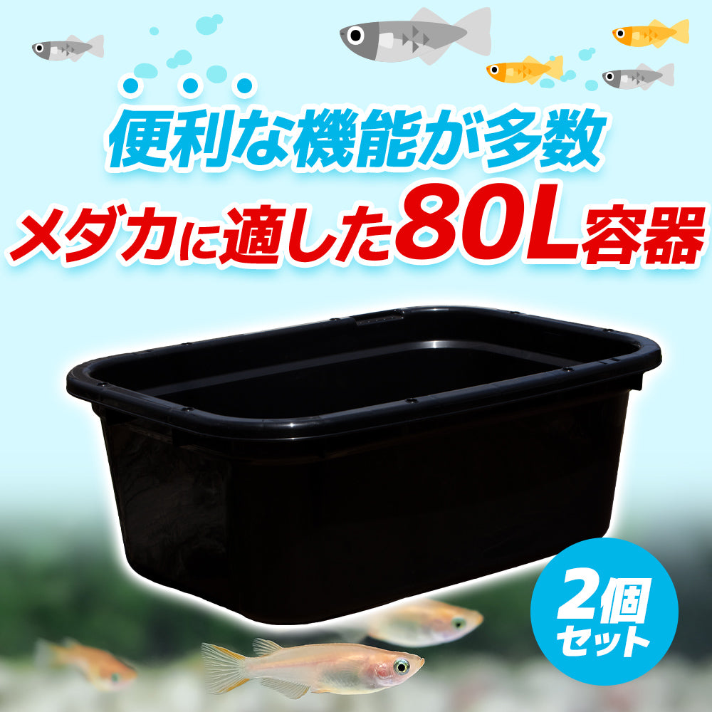 プラ舟 80L メダカ 金魚 らんちゅう ビオトープ 断熱仕様 - 魚用品/水草