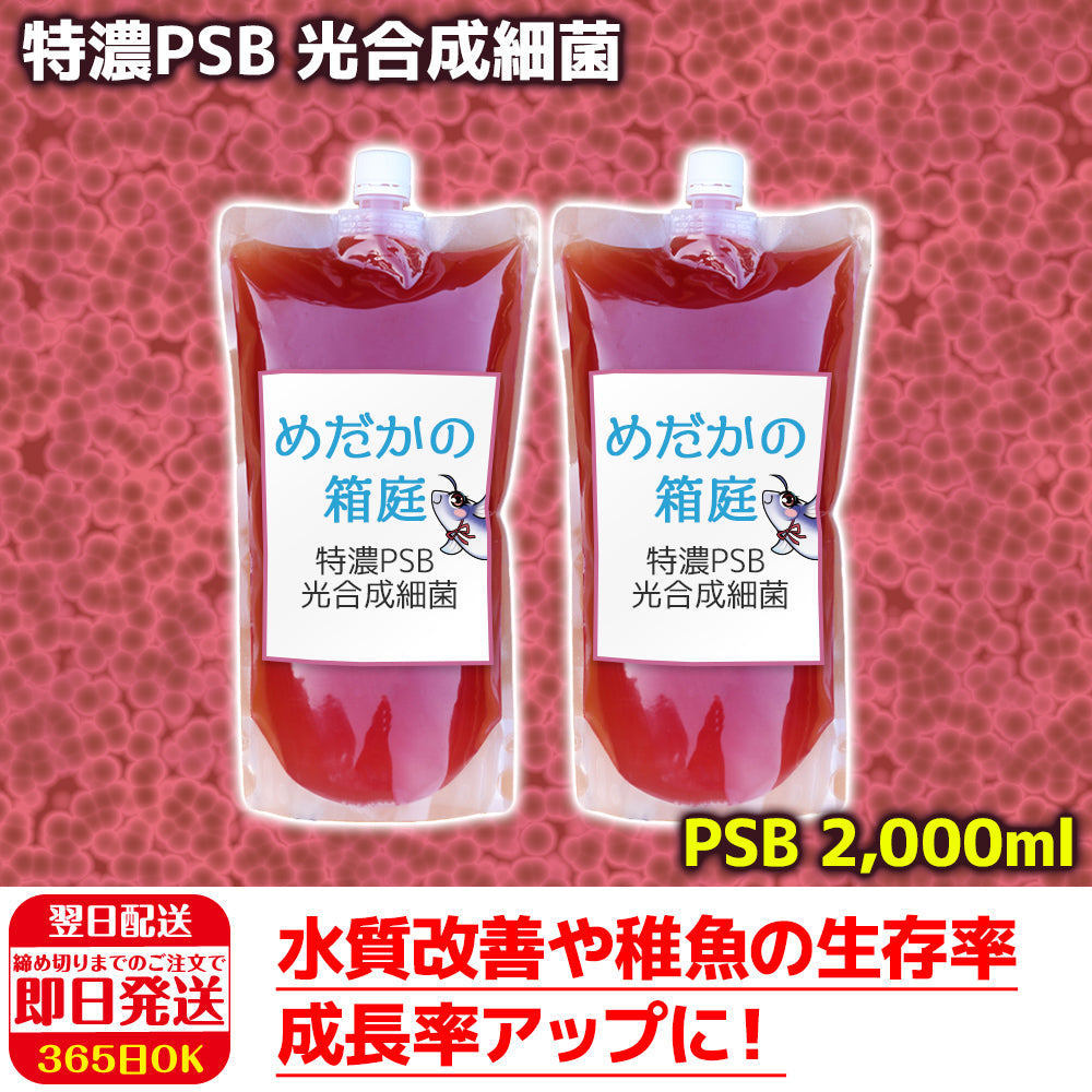 特濃 PSB光合成細菌 1.0L 関連:めだか金魚免疫強化水質浄化クロレラ1T