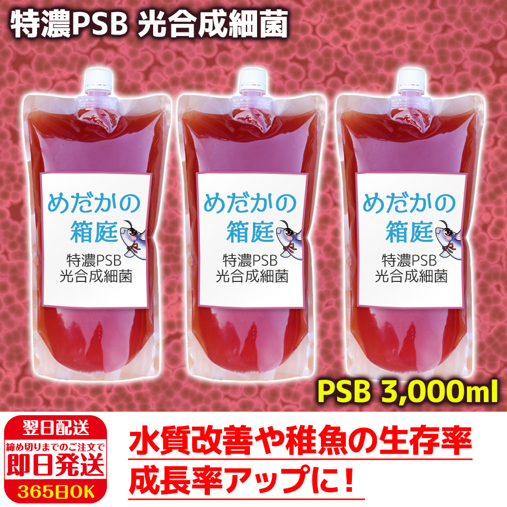 超濃縮 PSB 光合成細菌 メダカ ミジンコ 餌 (300ml)