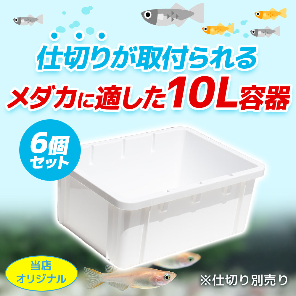 メダカ 専用 容器 白 10L 6個セット 仕切り別売り 専用の仕切を使えば