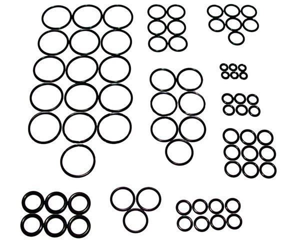 ANS Complete O-Ring Kit 3x Rebuild (Bag) - Gen 5 Timmy & Protege