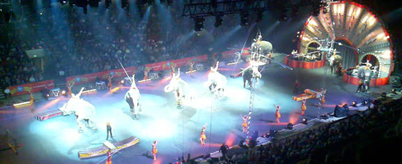 The End of Elephant Jewelry at The Circus