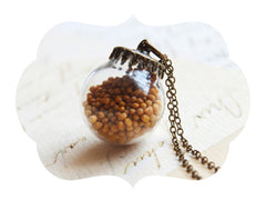 Glass Orb With Multiple Mustard Seeds Jewelry
