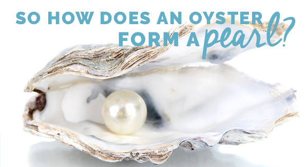 So How does an oyster form a pearl?