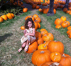 Picking Pumpkins without Jewelry