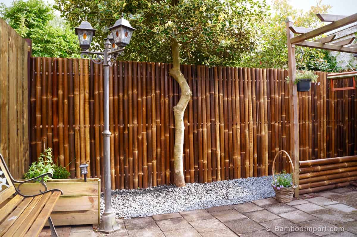 26x Bamboo Ideas for Garden, Terrace or Balcony