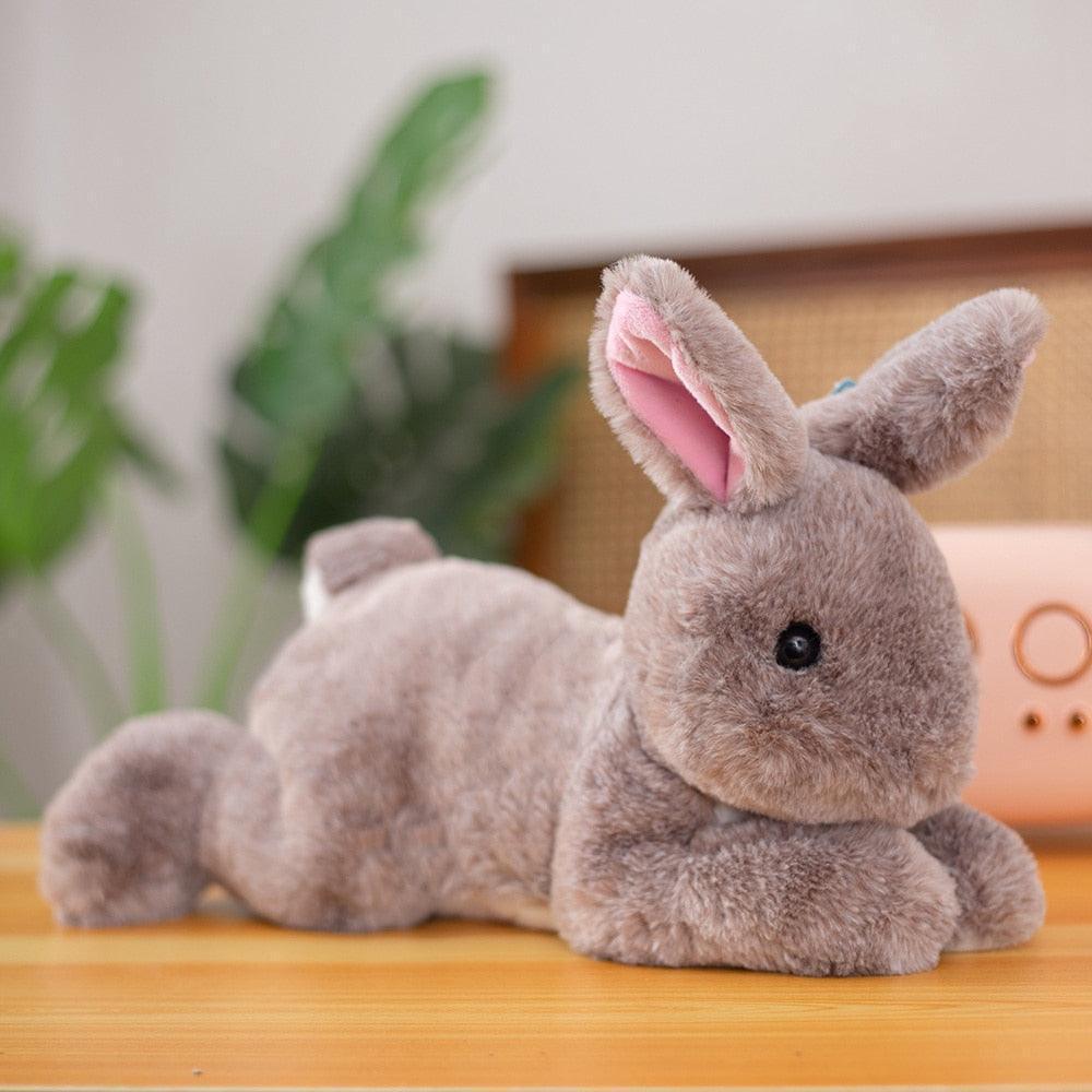 stuffed bunny rabbit