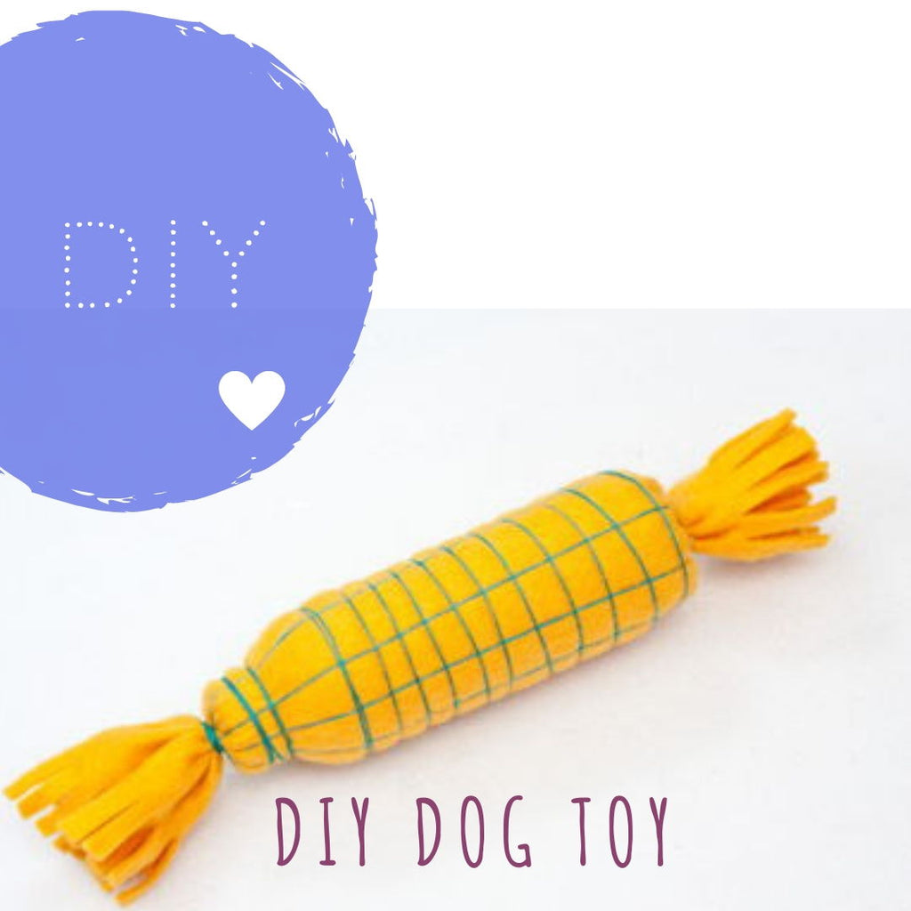 plastic bottle dog toy