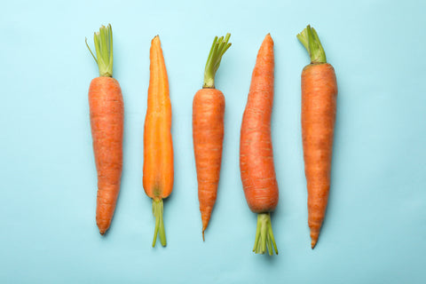 Carrot - Week 21