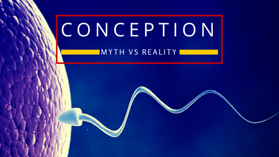 Clearing Up Myths And Reality About Conception Preggo Leggings 