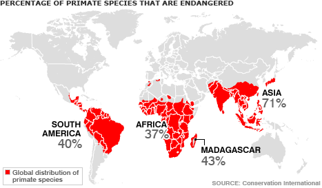 Percent of Primate Species Endangered