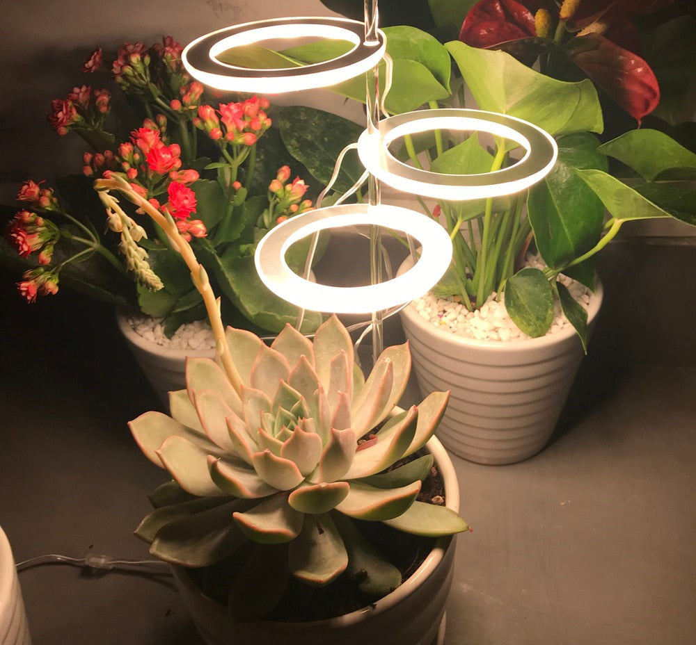 halo grow lights