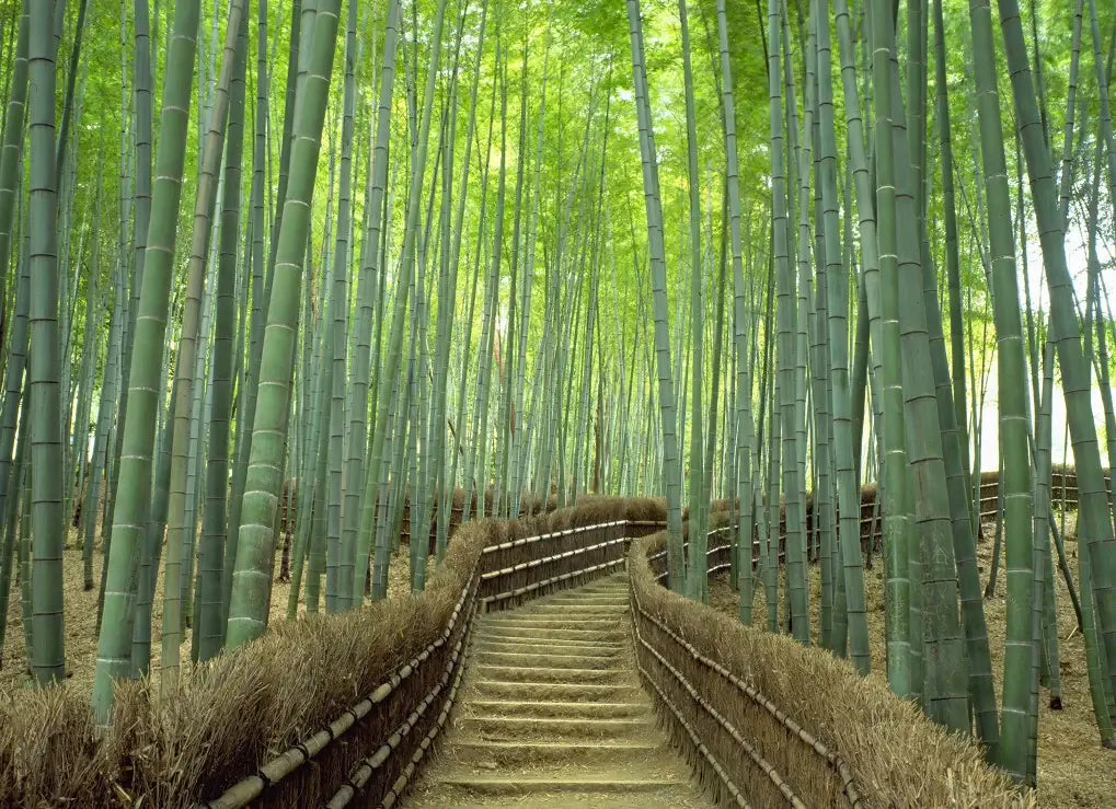 How to Start Living Sustainably in 6 Easy Steps!