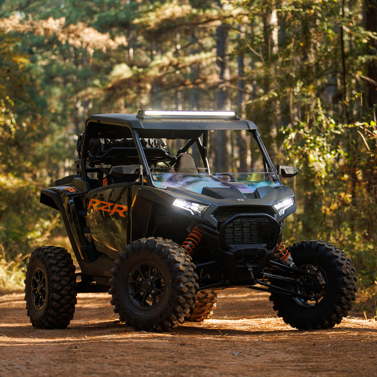 polaris-rzr-for-sale-by-owner